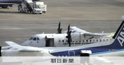 福岡空港の旅客機内でヘビを発見、カーペット下で生存 欠航の便で