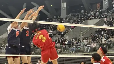 春高バレー宮城決勝、男子・東北と女子・古川学園が全国へ 総合力と試合巧者ぶり光る