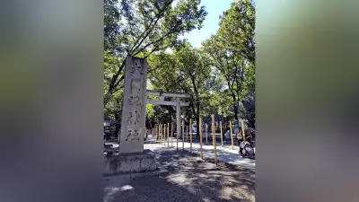 高浜虚子と水原秋桜子、武蔵野探勝会の欅並木に託した「天下」の違い