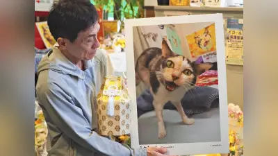 ３本脚の看板猫「ミケちゃん」天国へ…治療院でお別れの会