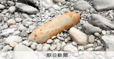 河原に残された不発弾、なぜ今発見? 空港でも探査「まだあるはず」