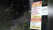 九度山の黒河道でクマ襲撃、観光客が軽傷　通行止め看板を7か所に設置