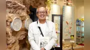 蹴つまずいて割れた石からチョウ化石、現生種で世界最古と判明