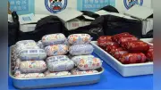 中国籍の女、ソーセージ20キロ密輸容疑で逮捕 報酬は4800円