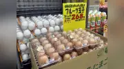卵の小売価格が過去最高値に並ぶ、冬場の鳥インフル懸念でさらなる高騰も