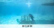 万博が結んだ日本とサウジの研究、与論島でサンゴ再生へ小さな一歩