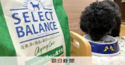 ペットフード値下げ制限疑い、公取委がベッツ・チョイス・ジャパンを立ち入り検査