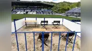 ＦＣ今治、愛犬と観戦できるボックス席を試験導入…１席４人と犬２匹まで
