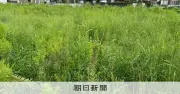 耕作放棄地は「耕作困難地」に呼称変更を 財務省が財政制度等審議会で提言