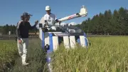 FNSドキュメンタリー大賞ノミネート『学びと継承の先に～どうなる日本の米づくり～』放送へ