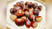 栗の保存は常温避け冷蔵庫のチルド室で むきやすくするコツも