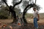 イスラエル人入植者、欧州外交官らの車列襲撃 フランス人市長に暴行 ヨルダン川西岸