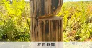 JR釧網線の通信ケーブル用木柱4本にV字の切り込み　JR北海道が被害届提出へ