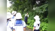 日本女子大附中1年生が葛の葉で草木染め、森から染料づくりまで体験