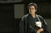 北村一輝主演『猫侍 -ビギニング-』新キャストに嶋﨑斗亜ら、2027年1月放送