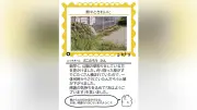 「まちに潜むケア」写真募集、久留米市がＳＮＳで優しさ可視化