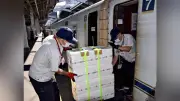 九州新幹線「はやっ！便」再開、鮮魚を即日博多へ輸送