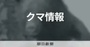 秩父の山中でクマともみ合い、59歳男性が全身にけが　命に別条なし