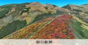 月山の紅葉、鮮やかな赤と黄色のパッチワーク「偽高山帯」が生む美しさ