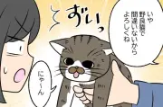 人慣れした野良猫を捕まえたご近所さんの思わぬ展開とは？漫画で紹介