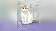 保護猫の過酷な運命描く 浜松舞台の小説『ごめんね、そら……』出版