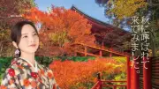 「おけいはん」仁村紗和、滋賀・比叡山延暦寺で秋の着物ビジュアル公開