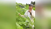 有機農業の朝市「ひゃくすた」10周年へ、代表・山崎誠さんが語る思い
