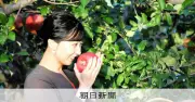 佳子さま初の青森訪問、リンゴ収穫体験で「ずっしり」と感想
