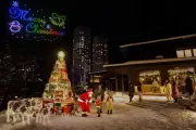 リゾナーレトマムで「ファームクリスマス」開催、3Dモーモーライトやドローンショーも