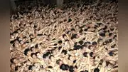 西大寺会陽、宝木争奪戦を来年は中止 事故受け奉賛会が正式決定