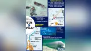 ラッコとジュゴン、回復の兆し 北海道・沖縄で定着へ