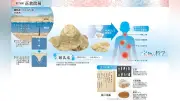 正倉院展の「鍾乳床」、不老不死の薬？ カルシウムが有効成分か