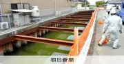 福岡・大木町の水路で小学生兄弟が溺死、遺族と町が和解　解決金支払いへ