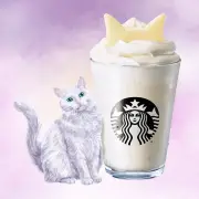 スタバに「ねこ耳カスタマイズ」登場 黒猫・白猫・三毛猫風フラペを自分好みに