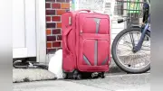 池袋でスーツケース不法投棄が相次ぐ、外国人観光客の放置か…区は罰則付き条例へ