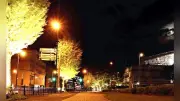 鳥取城跡などライトアップ、通年化へ 夜の観光名所に定着目指す