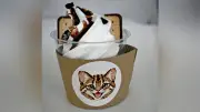 ツシマヤマネコのソフトクリーム、福岡市動物園で販売　学生考案
