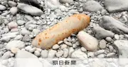 河原に残された不発弾、なぜ今発見? 空港でも探査「まだあるはず」