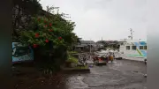 商店ゼロの離島から自販機2台撤去…飲料業界の苦境映す「空白」、住民の模索続く