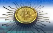 ビットコインのブランドとは？デジタルゴールド、ネイティブ通貨、決済網の3側面を解説