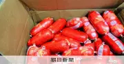 中国からソーセージ21キロ密輸容疑、47歳女を逮捕・送検 大阪府警